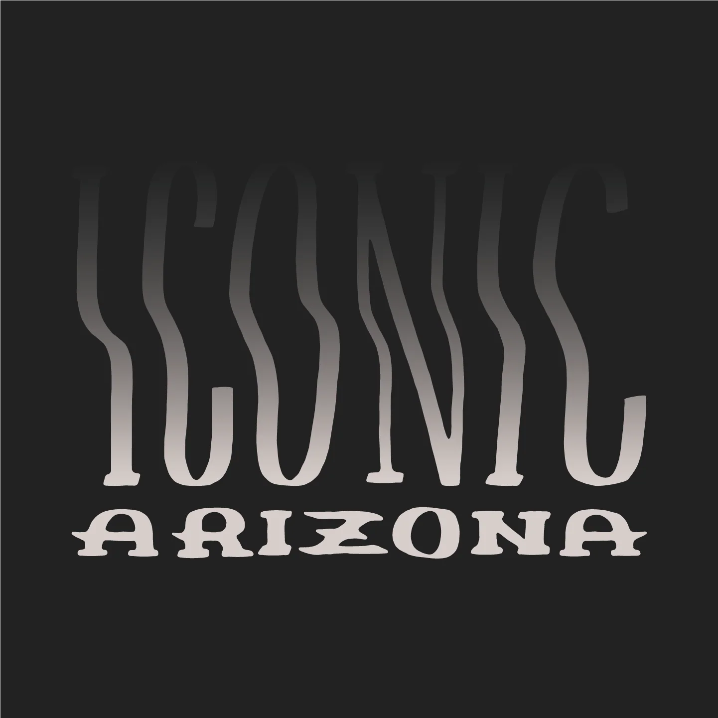 T-SHIRT-SS-ICONIC ARIZONA-STARRY NIGHT-BLACK