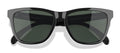 ACCESSORIES-SUNGLASSES-SUNSKI-SUN-HL-BKF-black forest