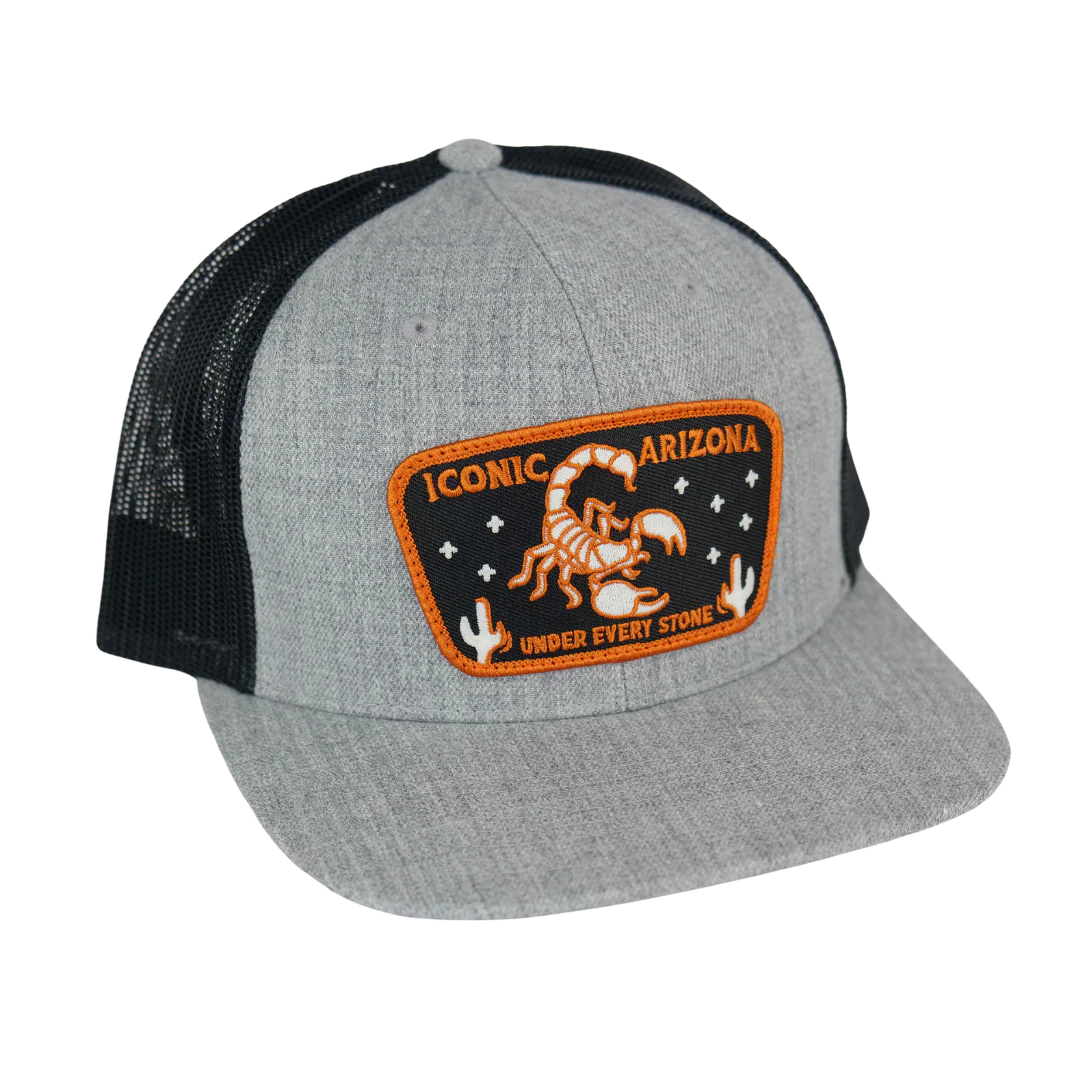 ICONIC ARIZONA - UNDER EVERY STONE TWO TONE HAT